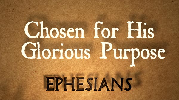 Chosen for His Glorious Purpose