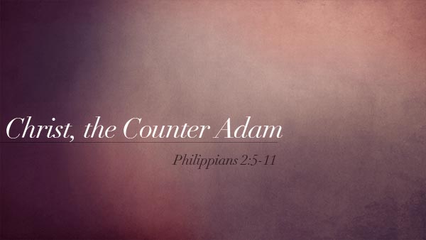 Christ, the Counter Adam
