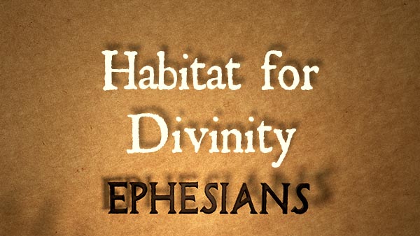 Habitat for Divinity 
