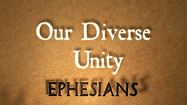 Our Diverse Unity