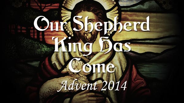 Our Shepherd King Has Come