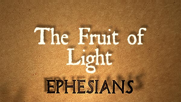 The Fruit of Light