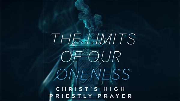 The Limits Our Oneness