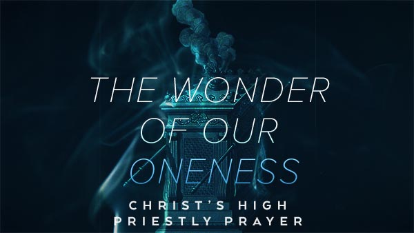 The Wonder of Our Oneness